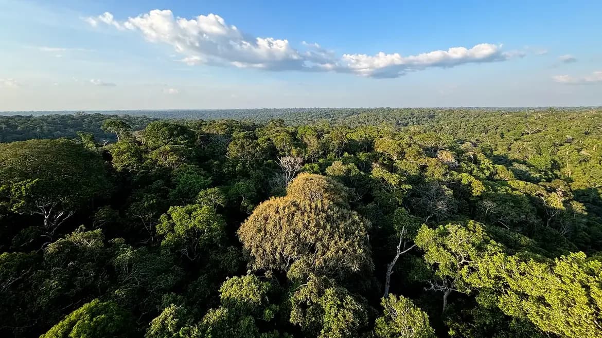 Imagem: Agência Brasil